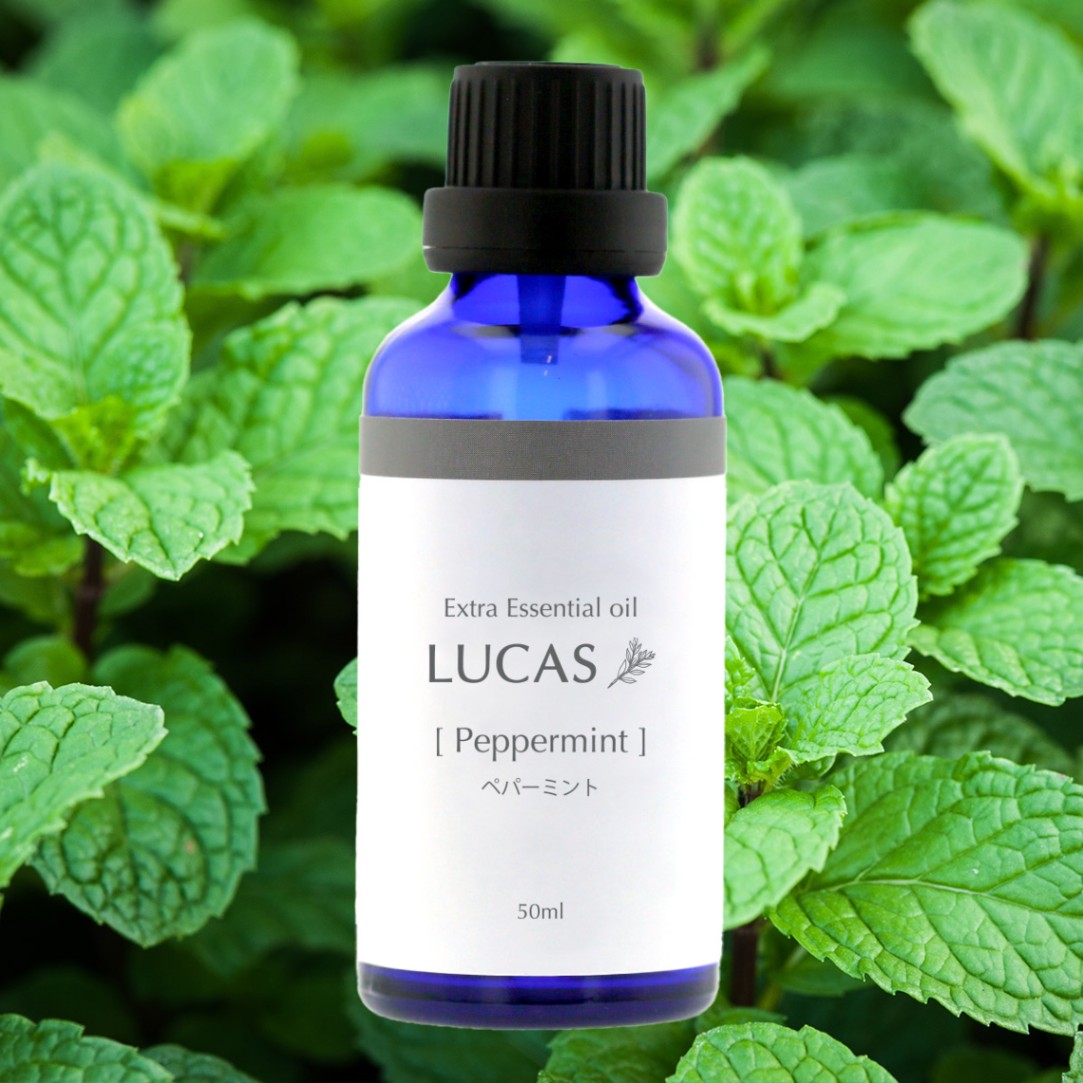 ペパーミント エッセンシャルオイル【集中力、爽快感】天然由来成分100
