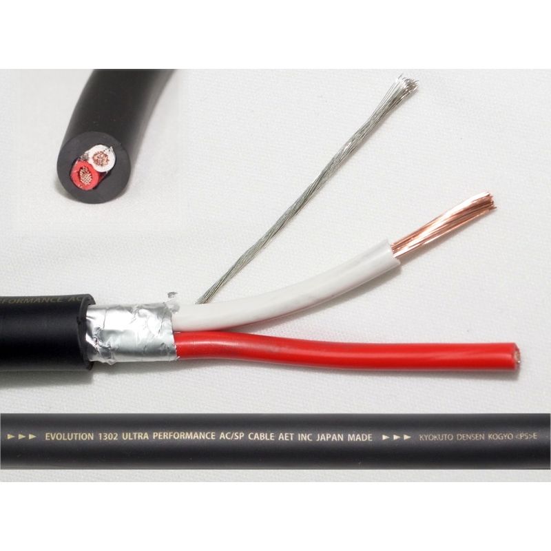 AET - EVO-1302S-SP（10cm単位切り売りケーブル）特殊エイジング済《e