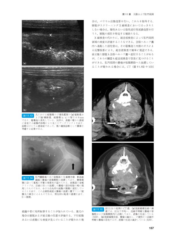 BSAVA 犬と猫の腹部画像診断マニュアル | BSAVAマニュアルシリーズ