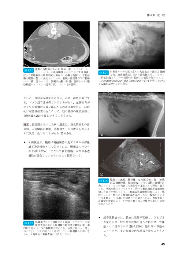 BSAVA 犬と猫の腹部画像診断マニュアル | BSAVAマニュアルシリーズ