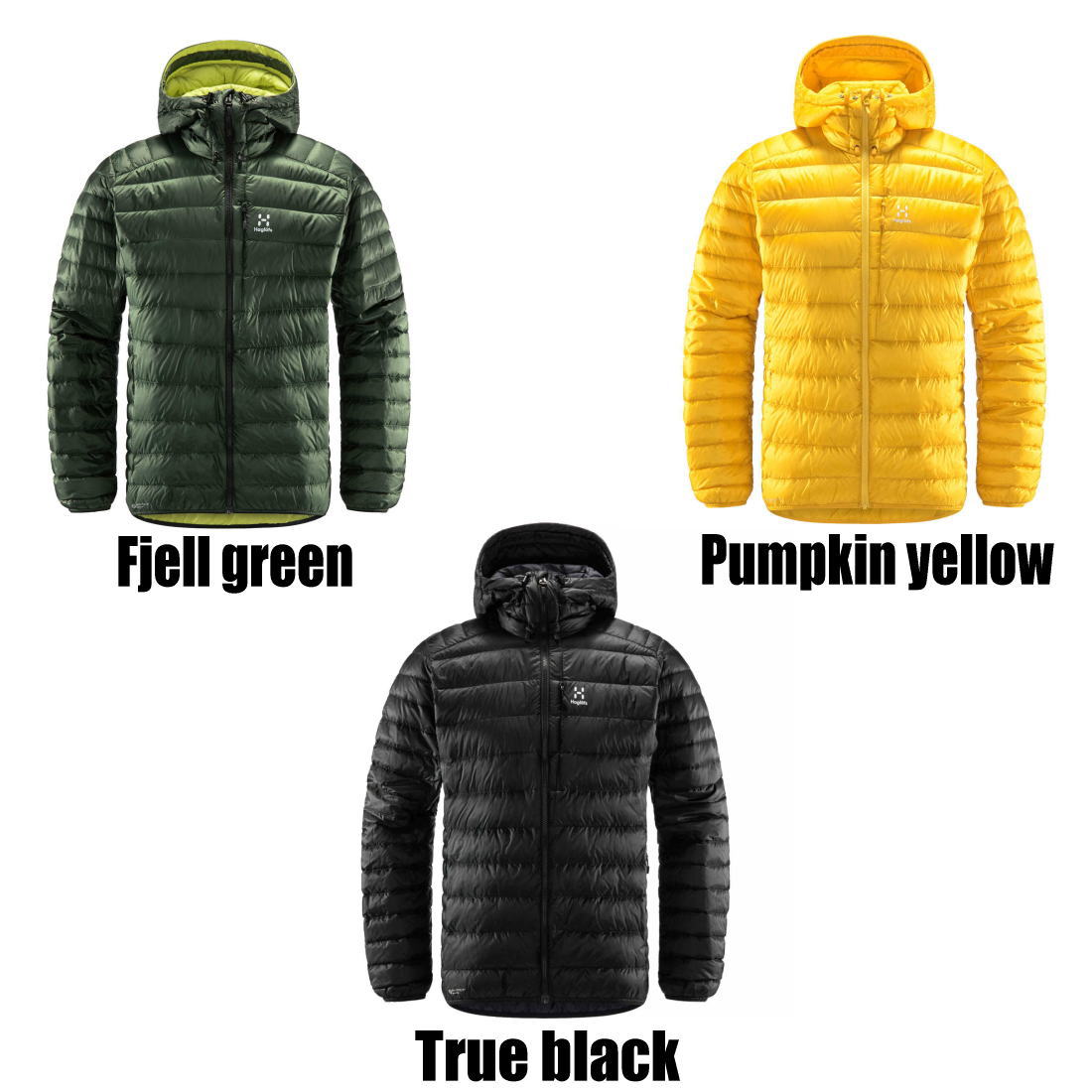 ホグロフス エッセンス ロック ダウン フードジャケット メンズ ソフト