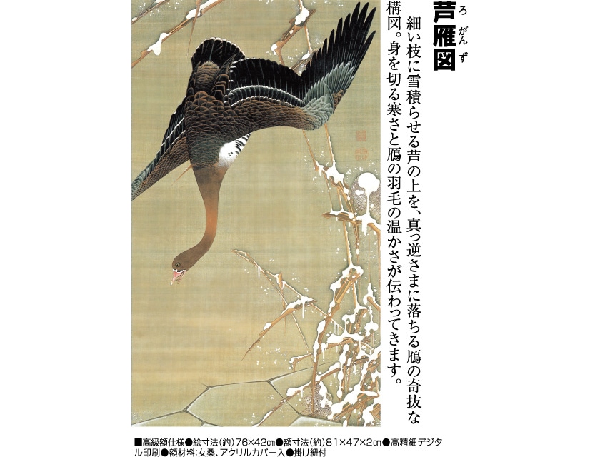 伊藤若冲 動植綵絵 芦雁図 高級仕様 額 美術品 インテリア 作品 複製画