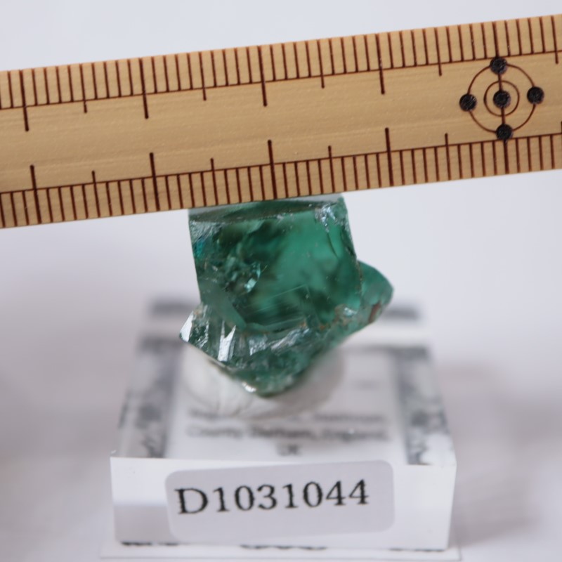 ロジャリー鉱山 フローライト | 鉱物標本,ハ行,フローライト/蛍石