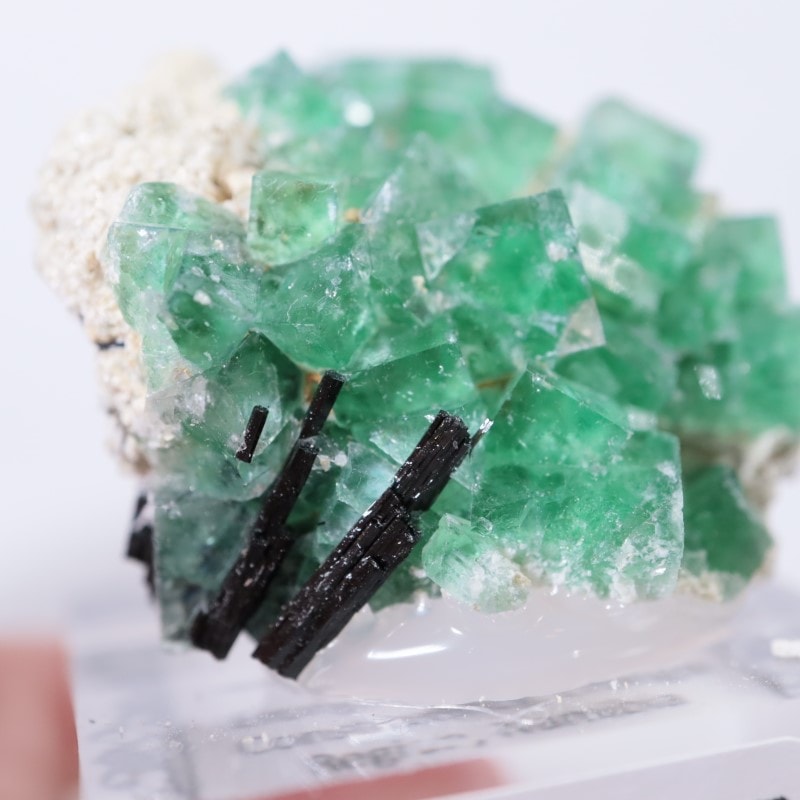 エロンゴ鉱山 フローライト | 鉱物標本,ハ行,フローライト/蛍石