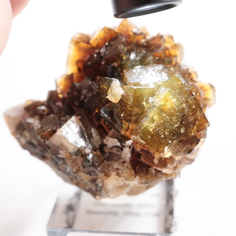 オハイオ州 フローライト | 鉱物標本,ハ行,フローライト/蛍石,フロー