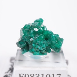 ダイオプテーズ/翠銅鉱」の取扱商品一覧 - ほたるみねらる