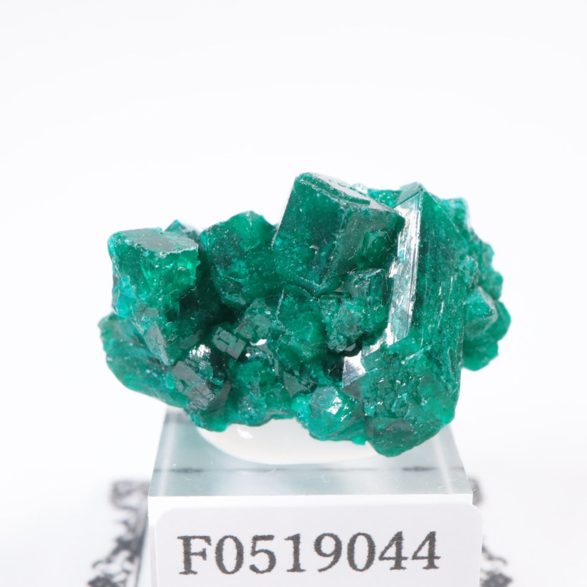 コンゴ産 ダイオプテーズ | 鉱物標本,タ行,ダイオプテーズ/翠銅鉱