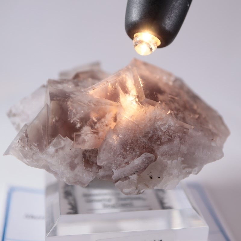 Sherry Twins Pocket フローライト | 鉱物標本,ハ行,フローライト/蛍石