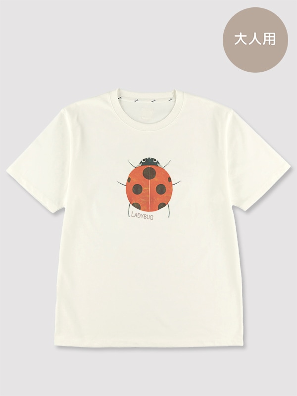 テントウムシ - INSECT MARKET（インセクトマーケット） - 昆虫と学び