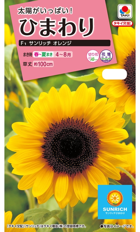 超短波 スーパーひまわり オレンジ、ピンク導子 3個セット 楽天市場