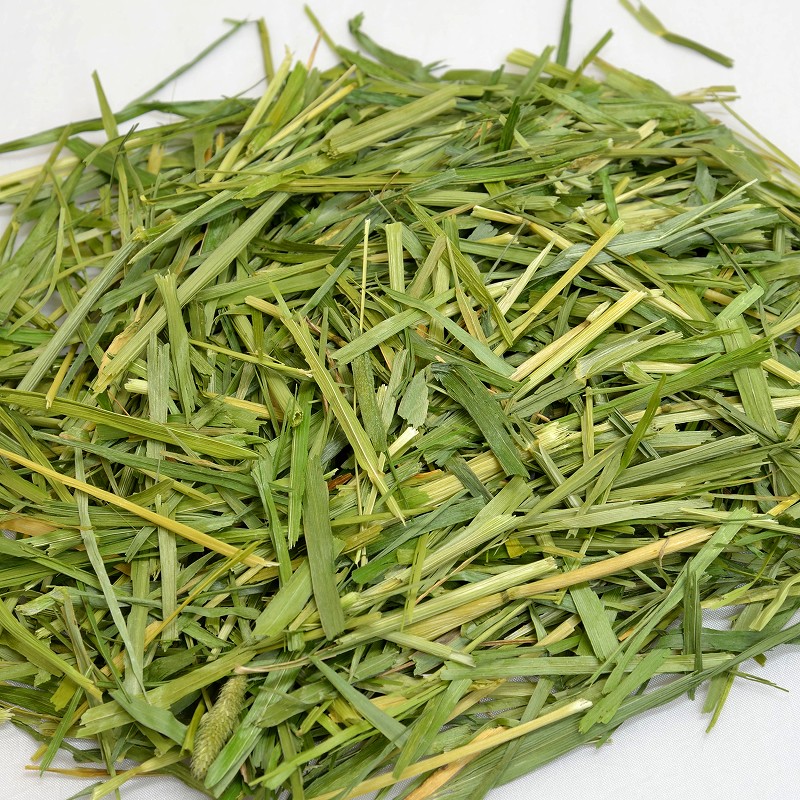 2024高原の朝採り牧草「4種のショートミックス」70g ※2024年9月26日