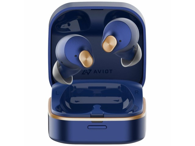 AVIOT アビオット 完全ワイヤレスイヤホン ノイズキャンセリング Lapis