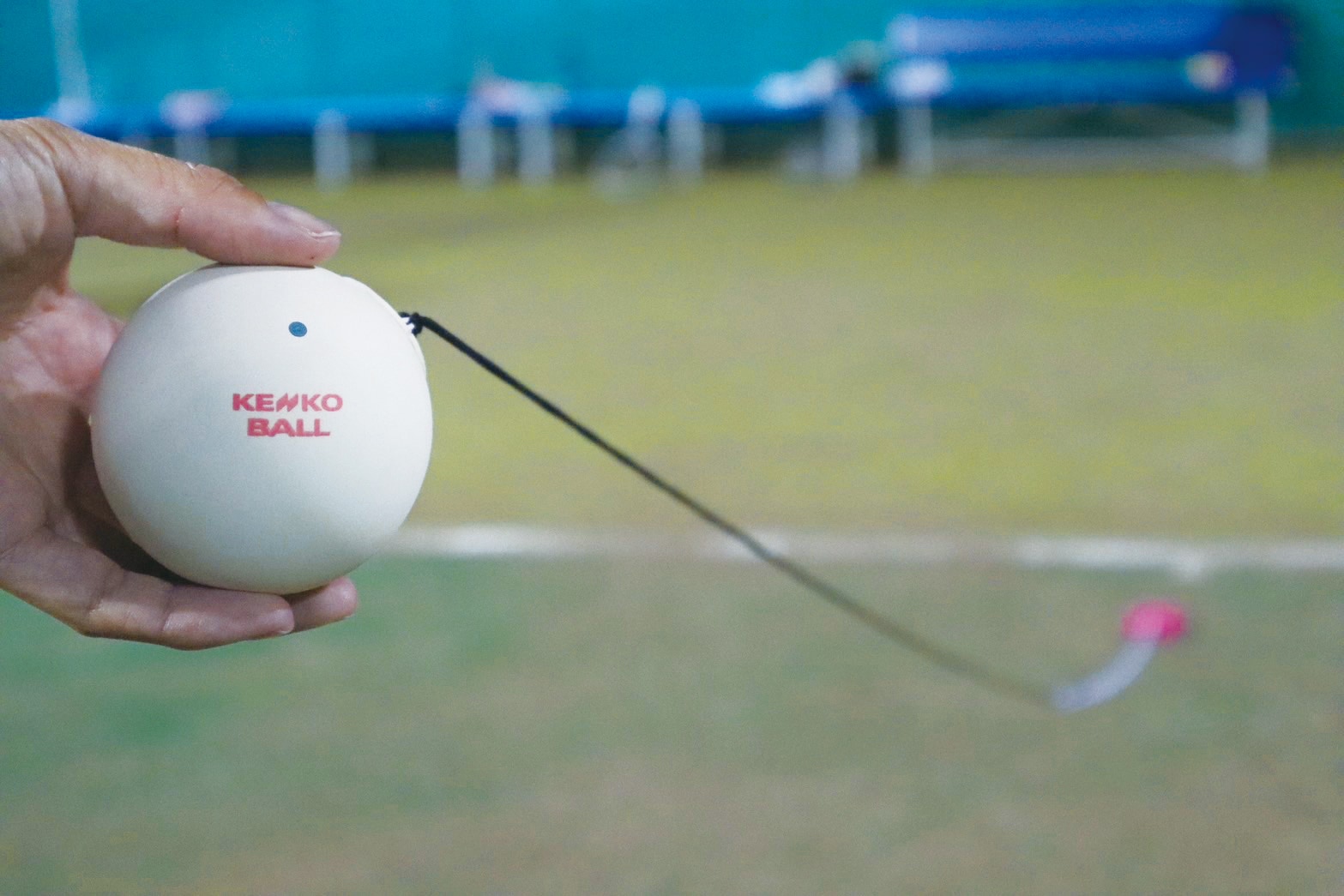 ケンコーセルフテニスII (TST-V-2) 1個｜ナガセケンコー【公式】ネット