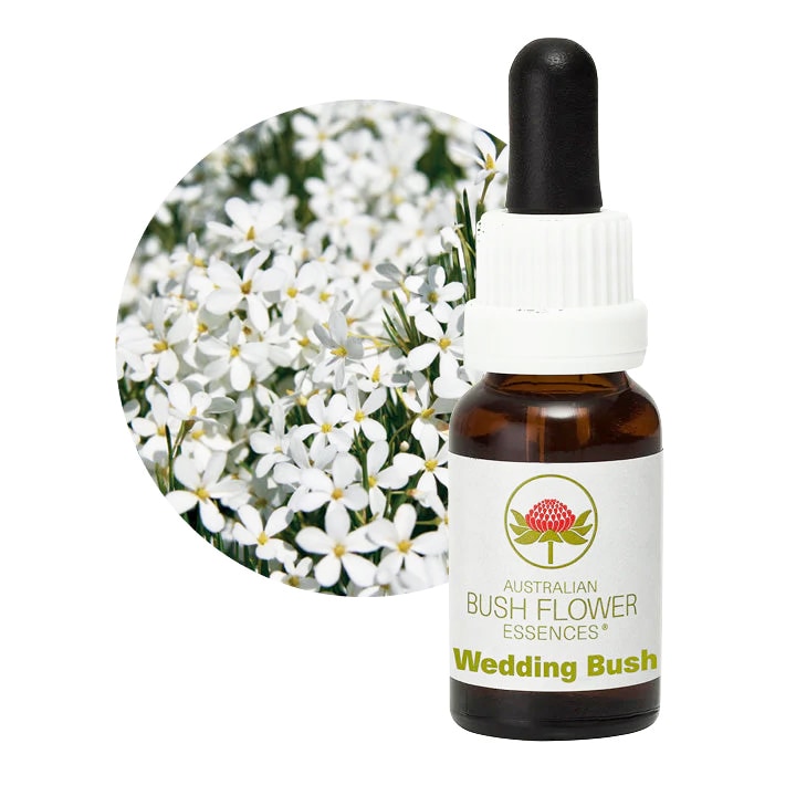 ウェディングブッシュ[Wedding Bush] | ブランド一覧,オーストラリアン