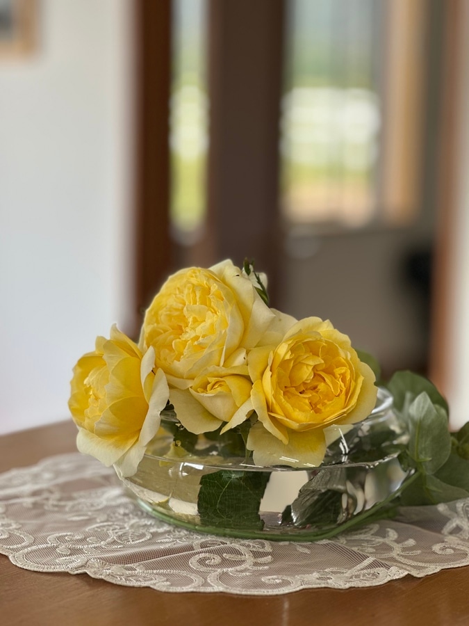 バラ苗 Roses,ブランド（ナーセリー）から選ぶ,日・禅ローズ | バラと