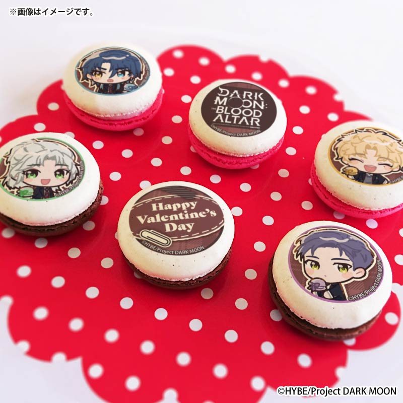 バレンタインプリマカロン6個セット2026（ソロン&シオン&ジャカ&ノア