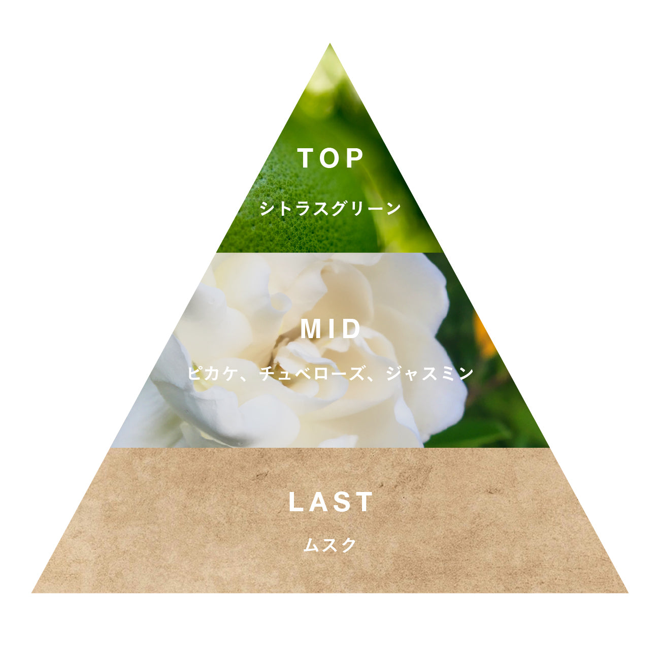 パフュームオイル Pikake – Malie Organics