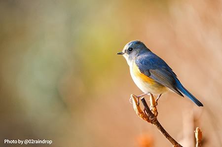 モール限定セット | フジフイルムモール