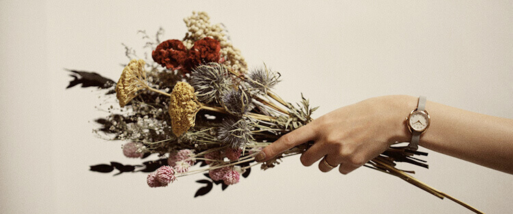 100個限定ギフトセット「星彩」リリース - MATOW / マトウ 公式サイト