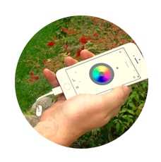 FAQ】エムウェーブ2携帯版とインナーバランスセンサーの違い | 心拍