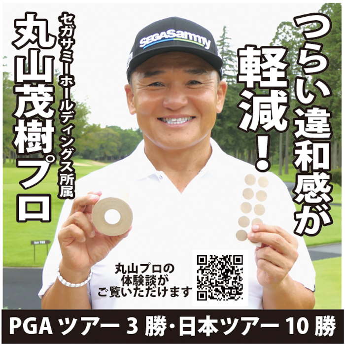 メダリスト・ジャパンショップ / プラズマ電子パッチ 天然鉱石に電子