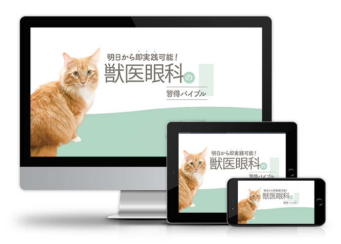 明日から即実践可能！獣医眼科の習得バイブル | 医療情報研究所 DVD