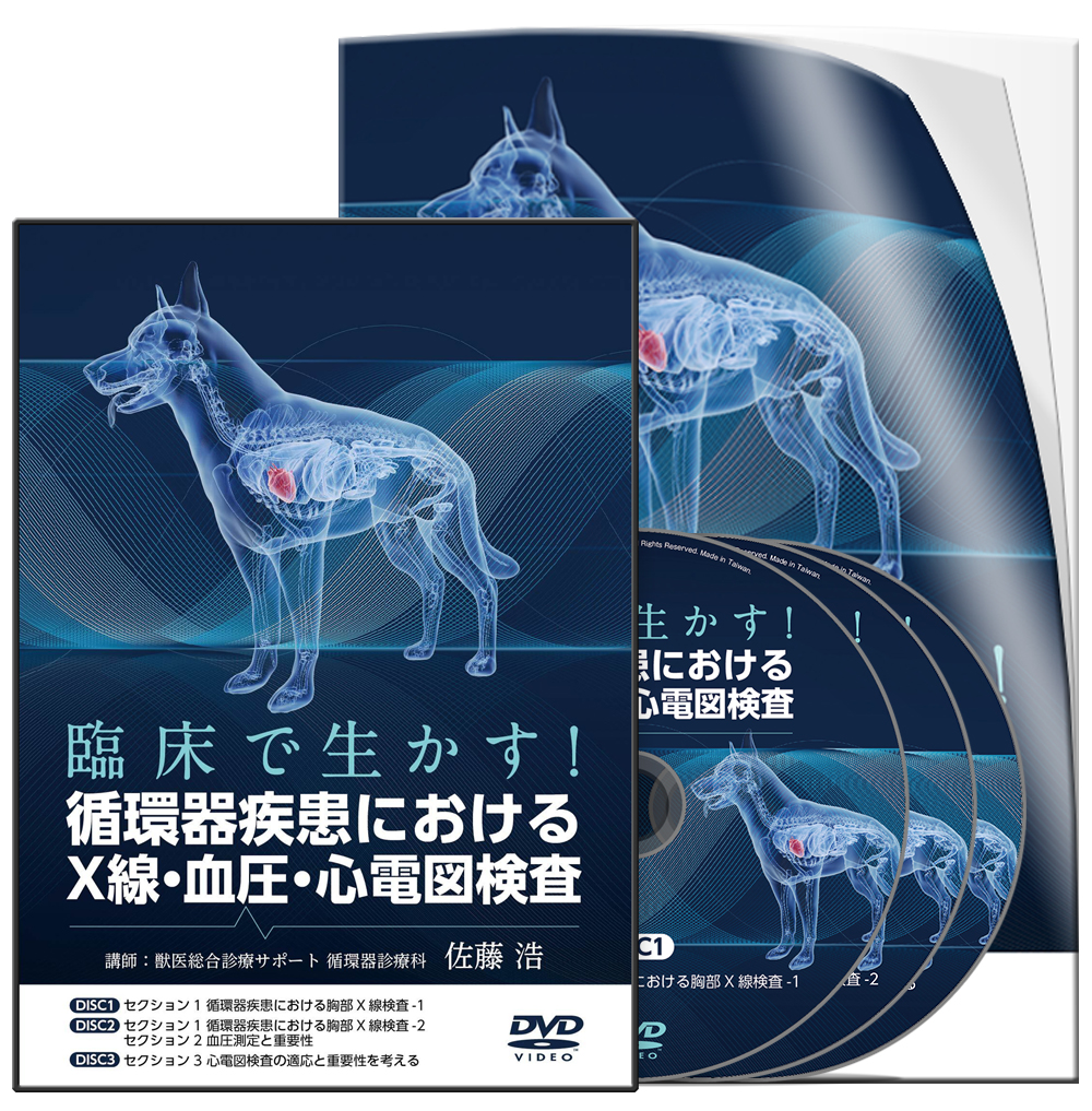 臨床で生かす！循環器疾患におけるX線・血圧・心電図検査 | 医療情報
