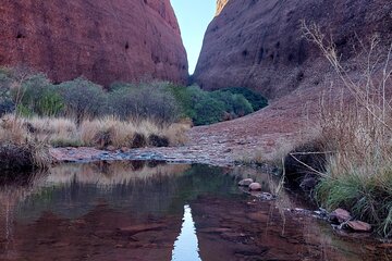 ウルル・サンライズ半日ツアー 2026 - エアーズロック