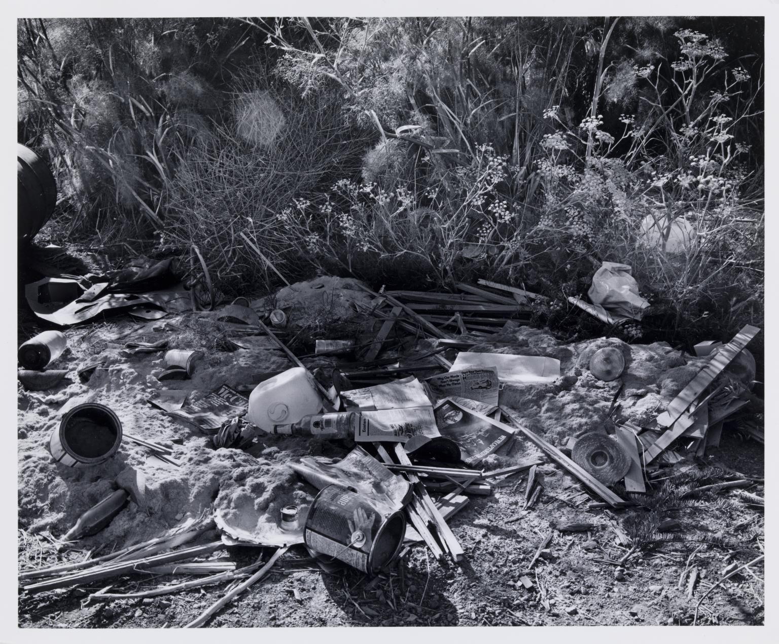 500部私家本○テストショットポラロイド（サイン付き）等付属】「幻視