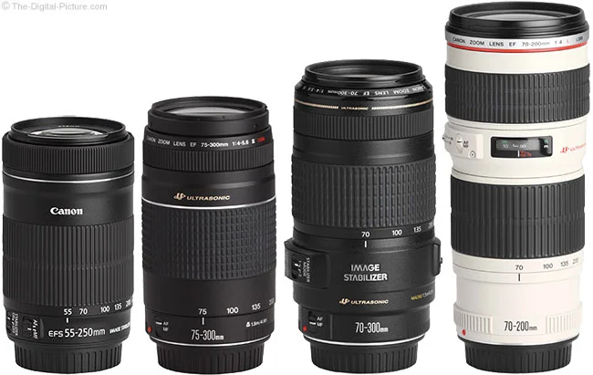 Canon EF-S 55-250mm f/4-5.6 IS STM Lens Review
