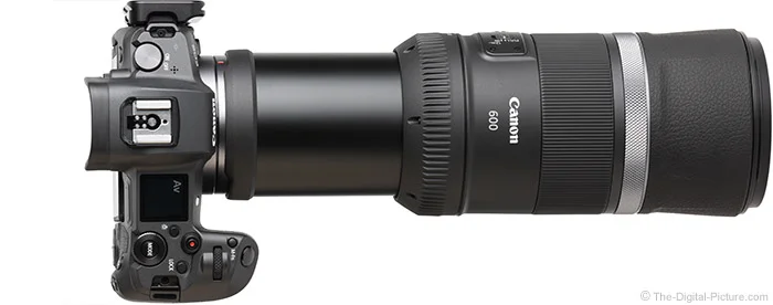 Canon RF 600mm F11 IS STM Lens Review
