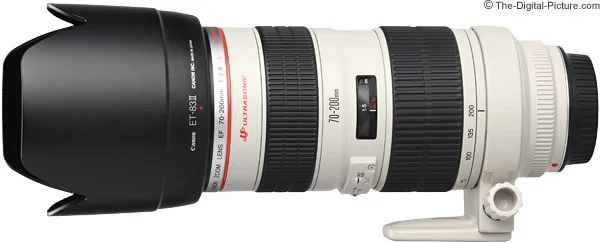 Canon EF 70-200mm f/2.8L USM Lens Review