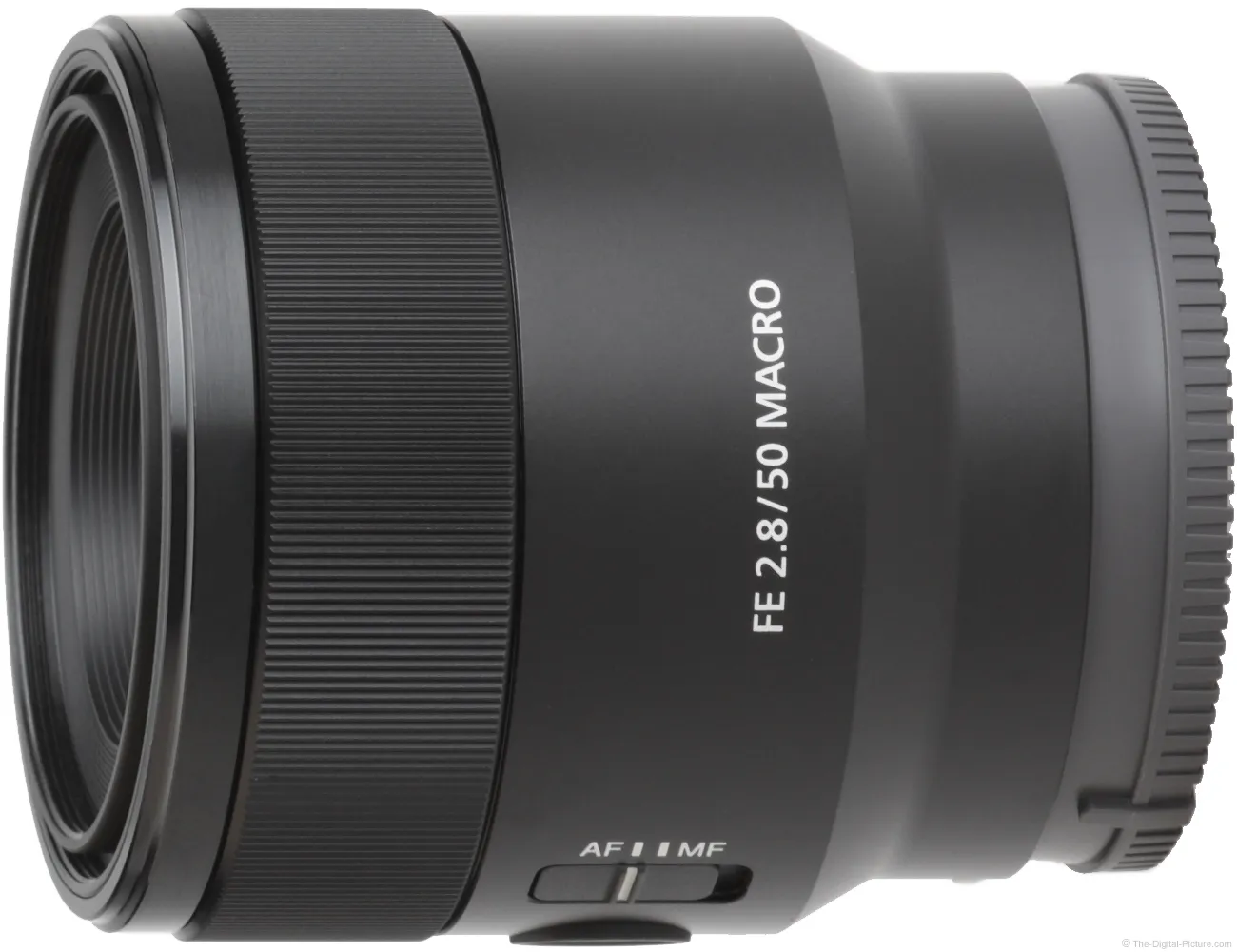 Sony FE 50mm F2.8 Macro Lens Review