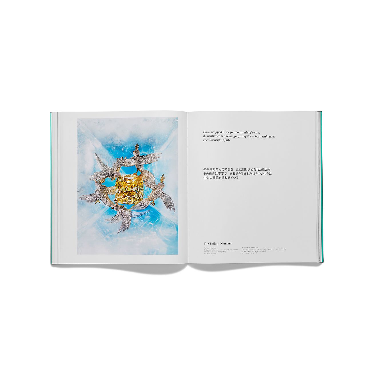 ティファニー ワンダー ブック | Tiffany & Co.