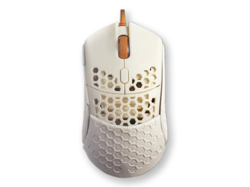 50283297.jpg?width=290