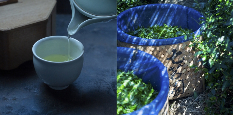 堀井七茗園の宇治茶 | D&DEPARTMENT