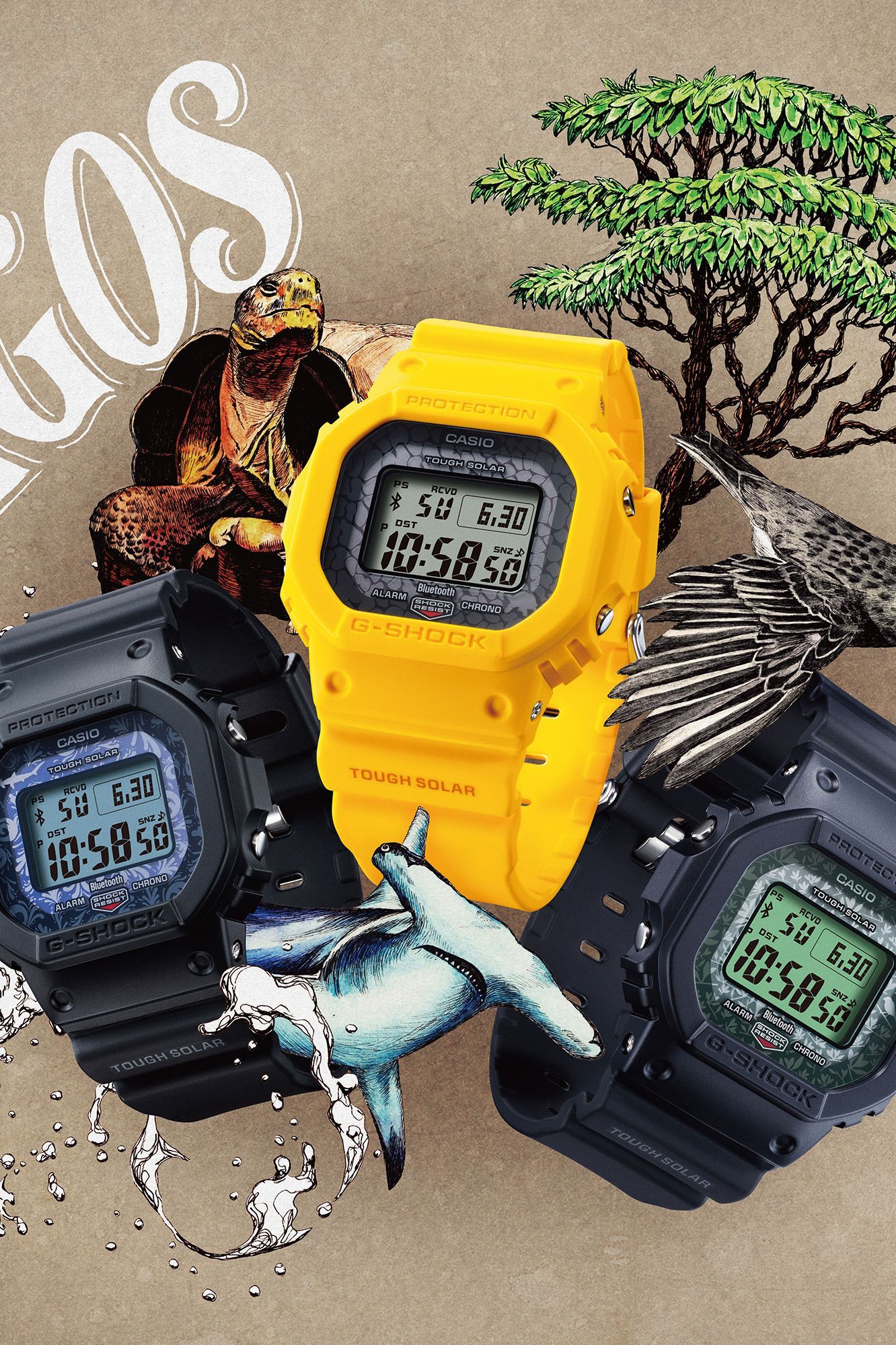 G-SHOCKがチャールズ・ダーウィン財団とコラボ！ ガラパゴス諸島に生息