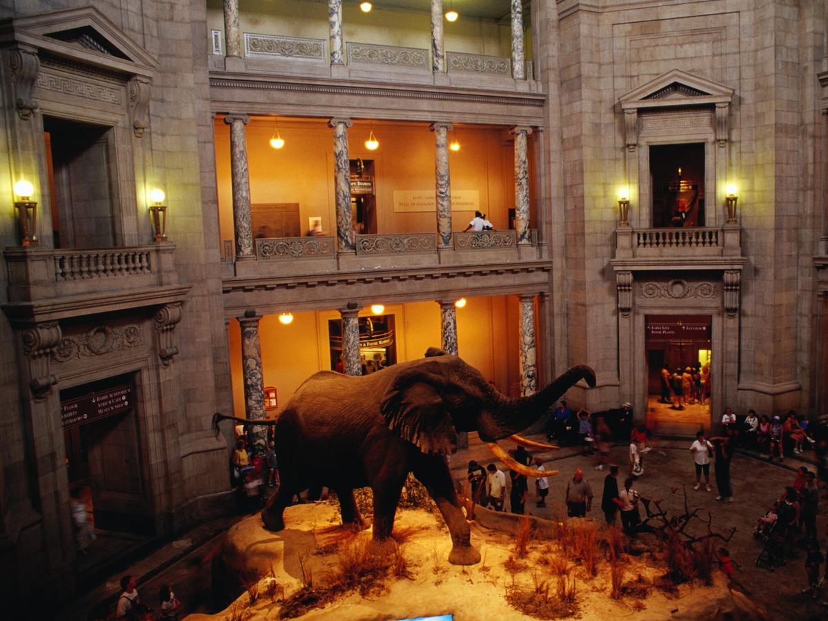 スミソニアン協会が所蔵品のデジタル画像280万枚を無料公開…その一部を