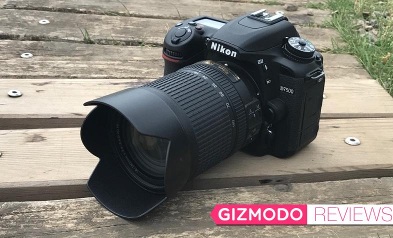 Nikon D7500レビュー：幅広い層が満足できる“ザ・ミドルレンジ