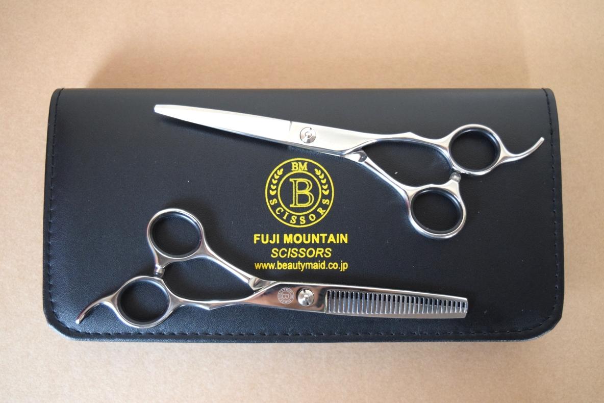 190420ECfuji.jpg?w=585