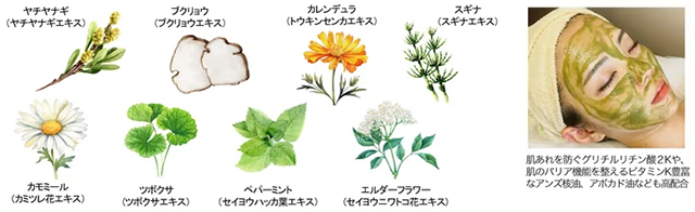 お家でケアできるハーブピーリングがメゾンレクシアから新登場！肌を