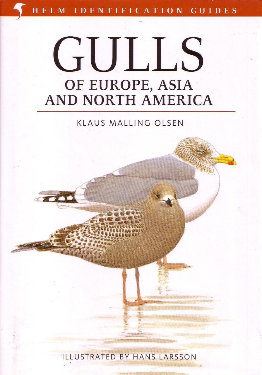 Gulls of Europe, Asia and North America | NHBS Field Guides