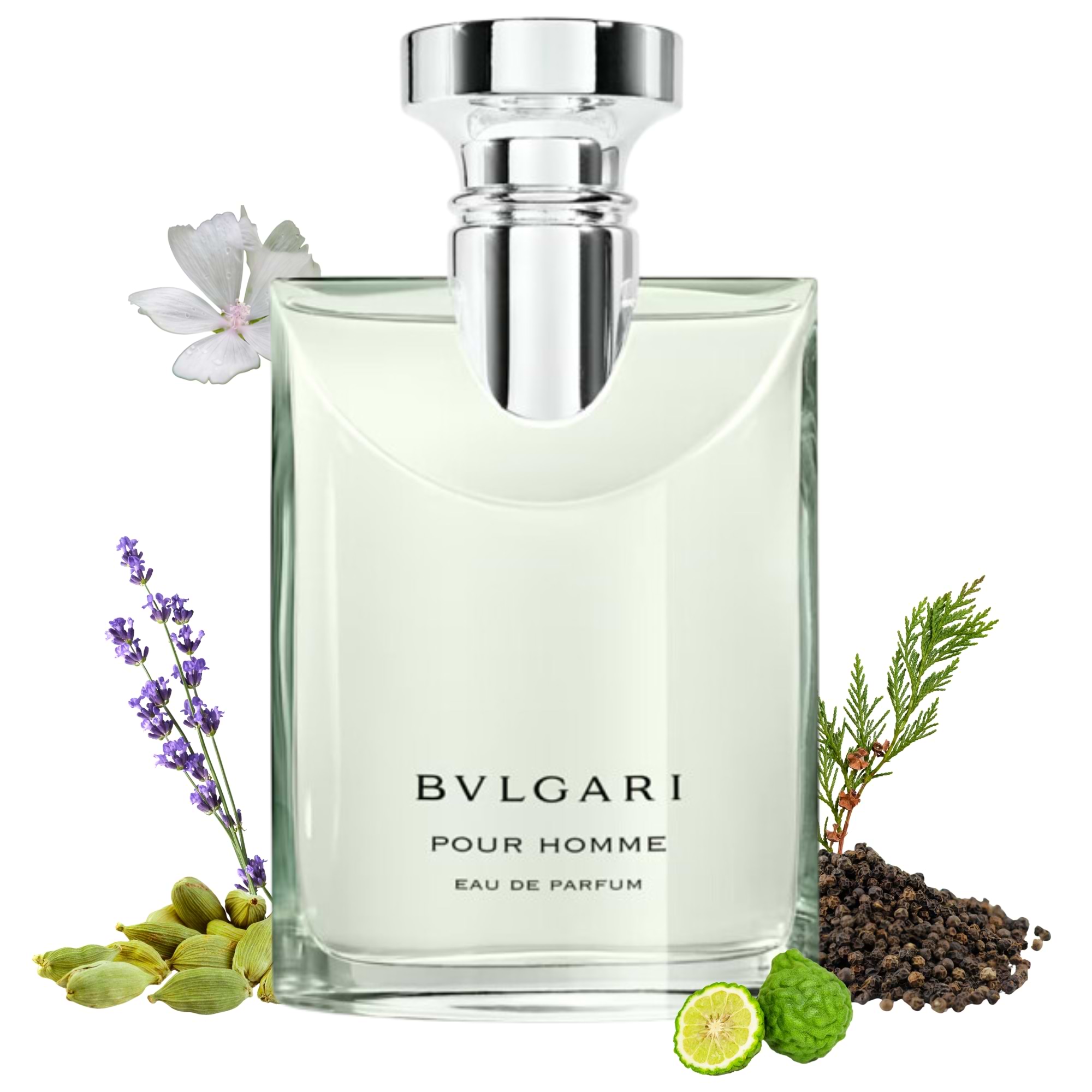 Experience Bvlgari Pour Homme Eau De Parfum 100ml – Fresh, Clean