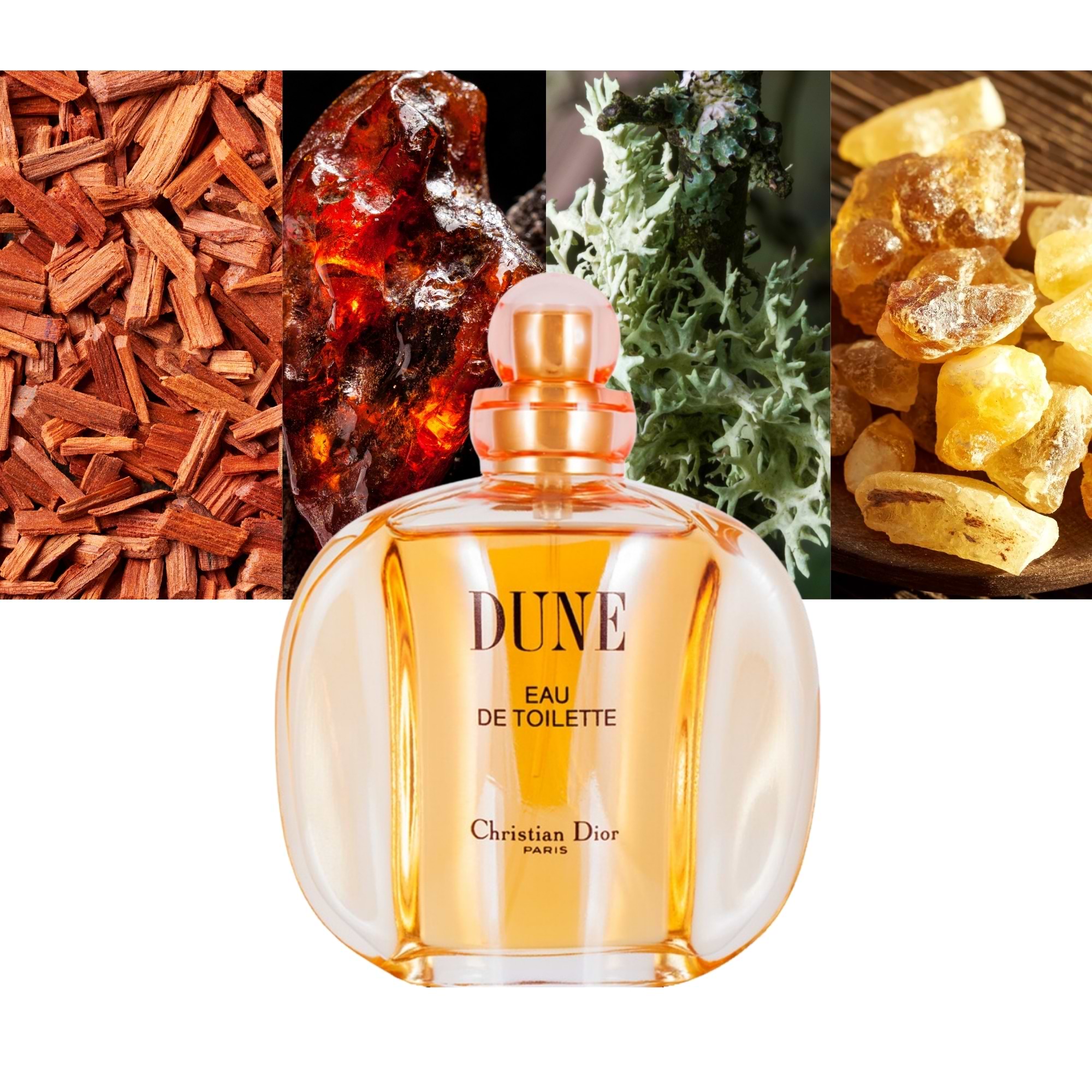 Dune by Christian Dior Eau De Toilette 3.4 oz |MaxAroma.com