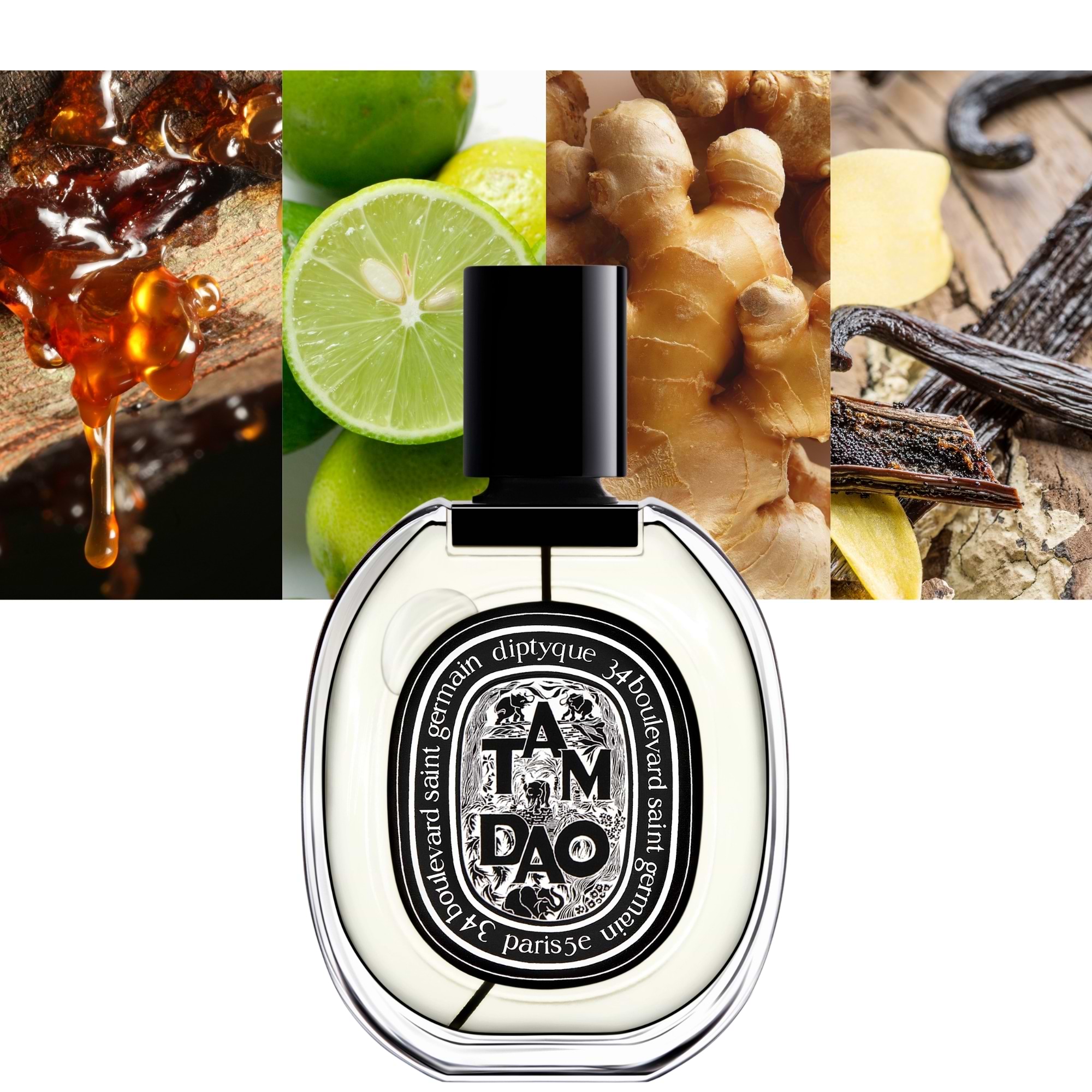 Diptyque Tam Dao 3.4 oz 100ml EDP Unisex| MaxAroma.com