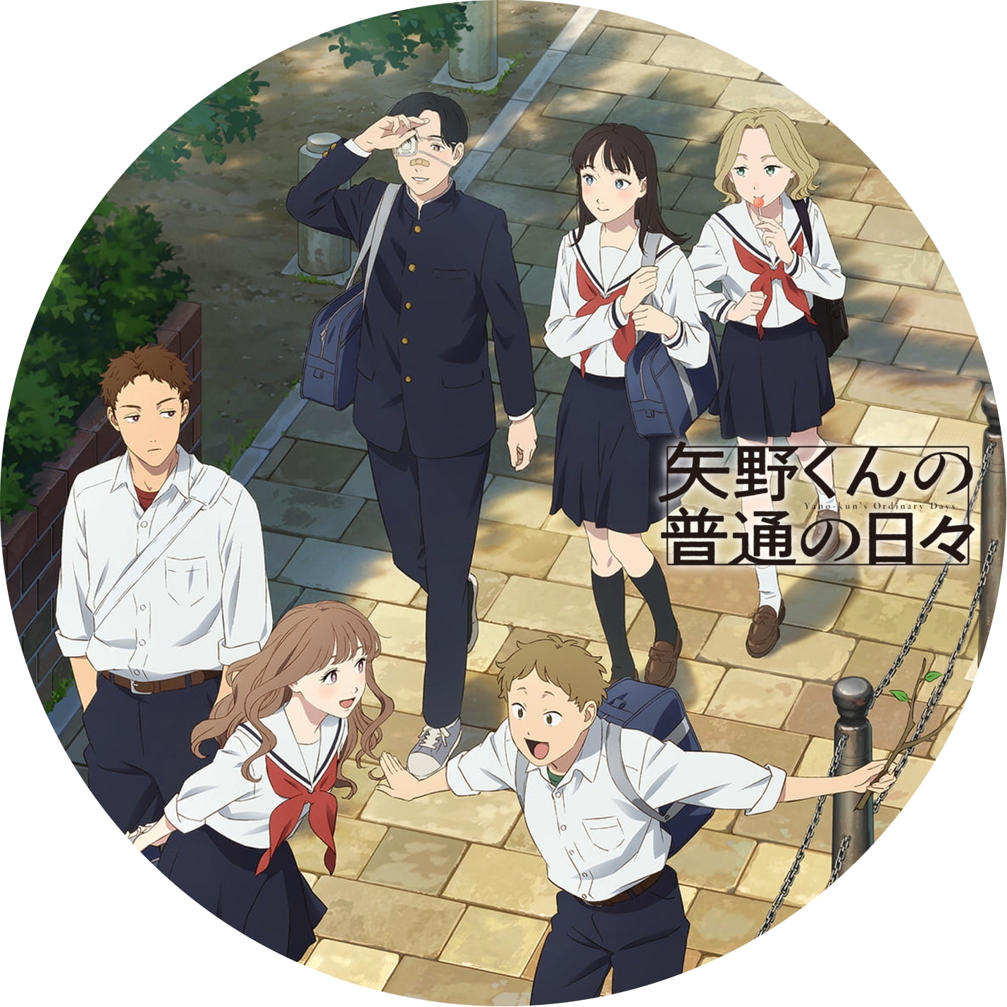 矢野くんの普通の日々 ” の DVDラベルです | meechanmama(みーちゃん