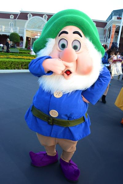 ディズニーキャラクタープリムール 7人のこびと Amazon.co.jp: DISNEY