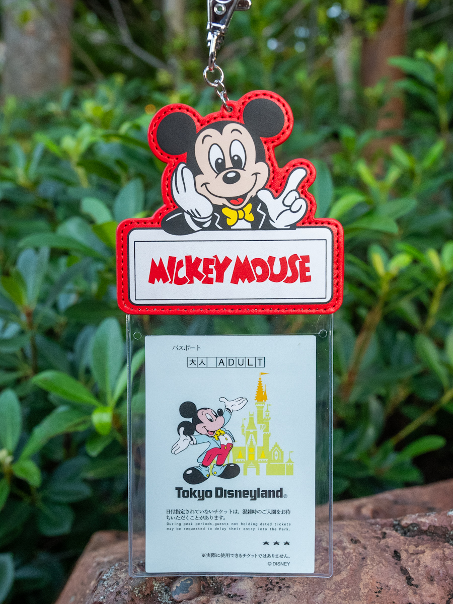 ミッキー、ミニー、ドナルドデザイン！東京ディズニーランド