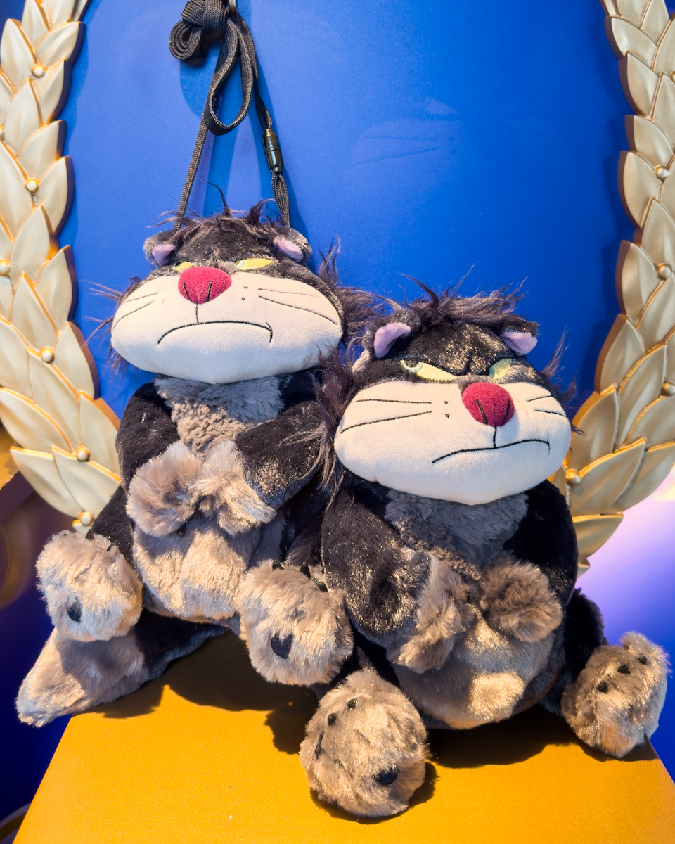 ファンキャップ、ショルダーバッグなど！東京ディズニーランド