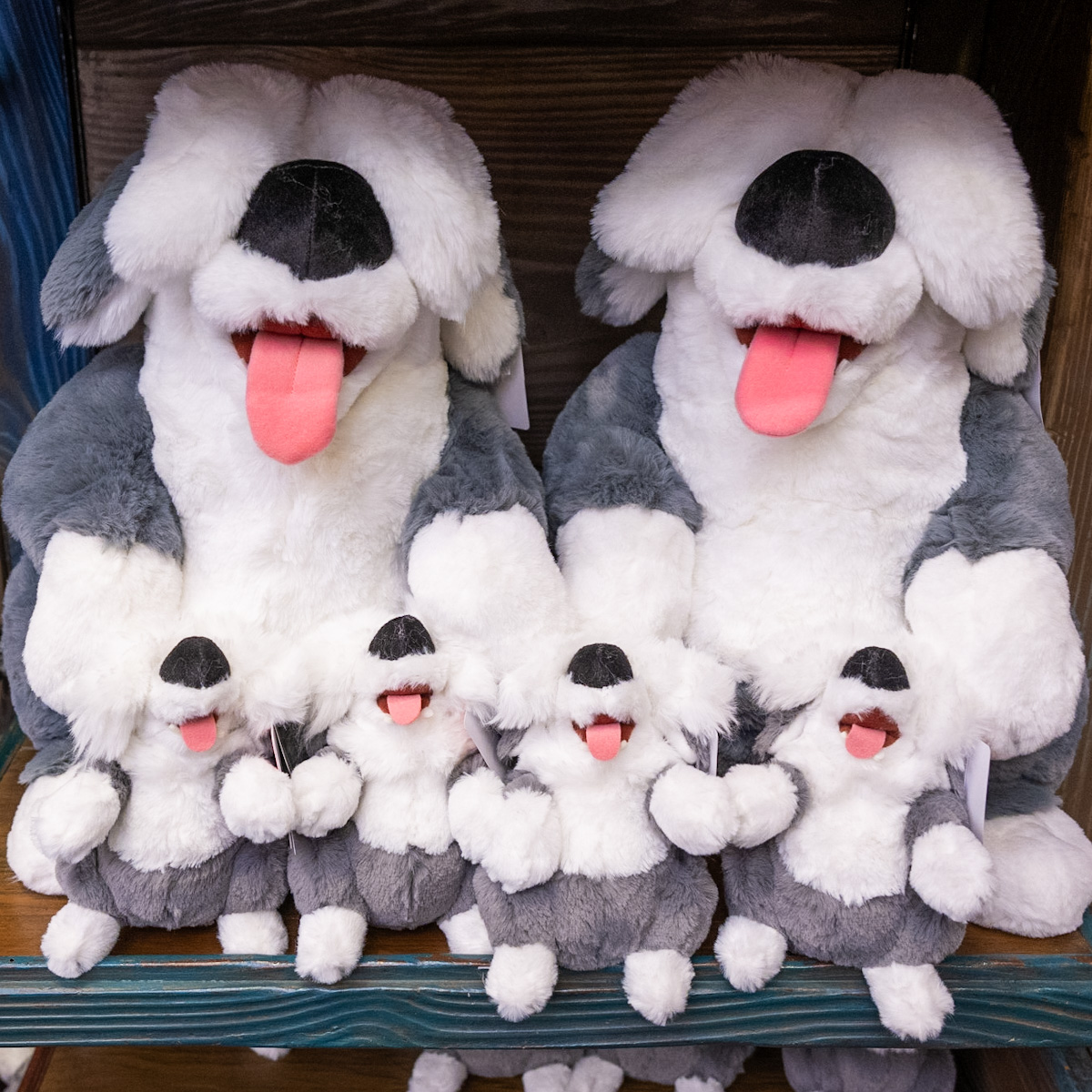 ふわふわな毛並みがかわいいマックス！東京ディズニーランド『リトル